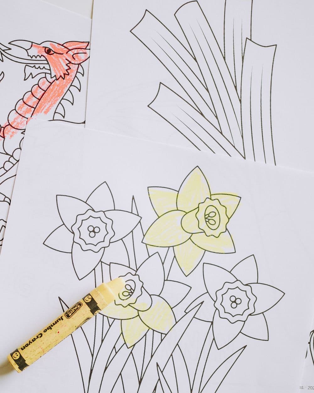 Printed coloring pages of daffodils and a dragon, partly colored, with a yellow crayon