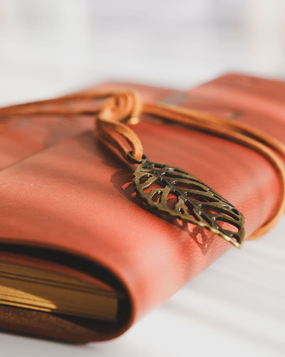 Leather-bound journal wrapped with a leather cord and metal leaf charm